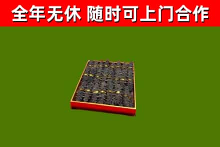 松原烟酒回收海参.jpg
